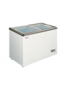 CONGELADOR HORIZONTAL  ASPES HORECA C/ TAMPAS DE VIDRO ACHH1501DDCG 150L (AxLxP 784 x 865 x 545 mm)  CL.D